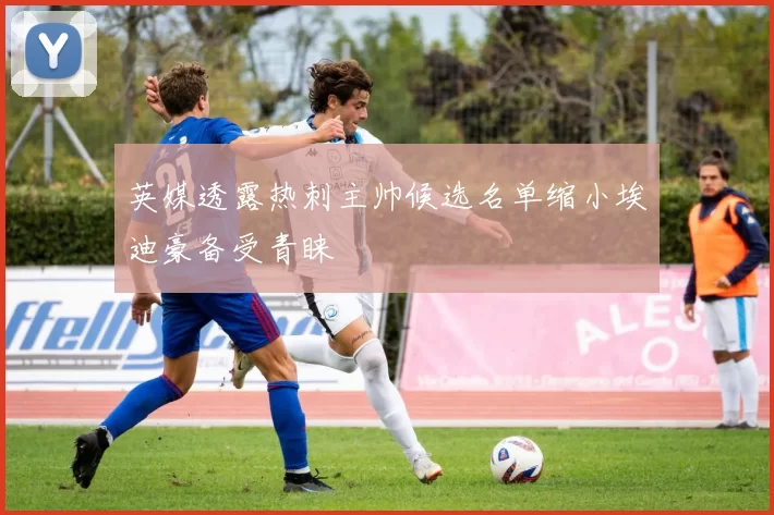 英媒透露热刺主帅候选名单缩小埃迪豪备受青睐