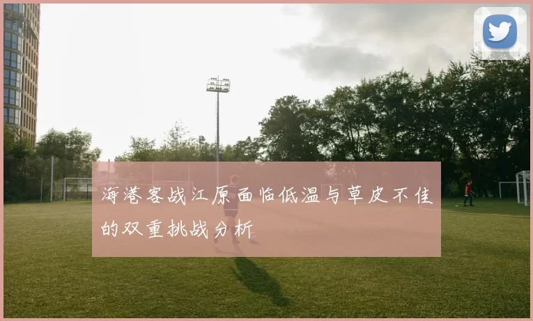海港客战江原面临低温与草皮不佳的双重挑战分析