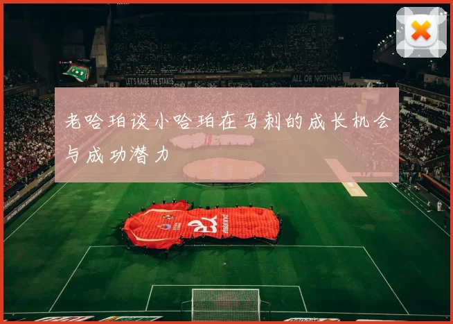 老哈珀谈小哈珀在马刺的成长机会与成功潜力
