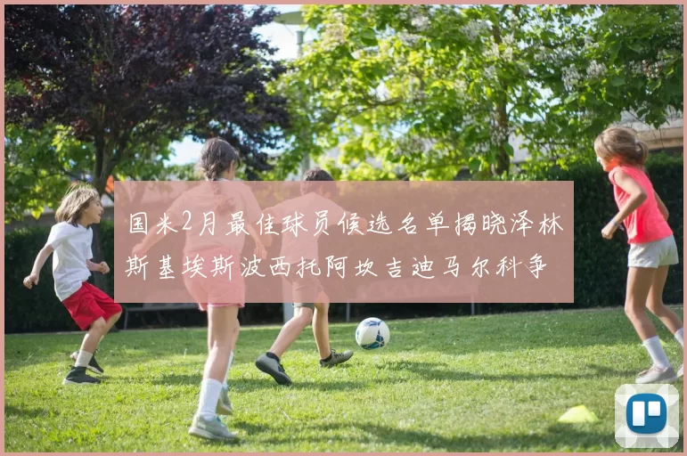 国米2月最佳球员候选名单揭晓泽林斯基埃斯波西托阿坎吉迪马尔科争夺荣誉